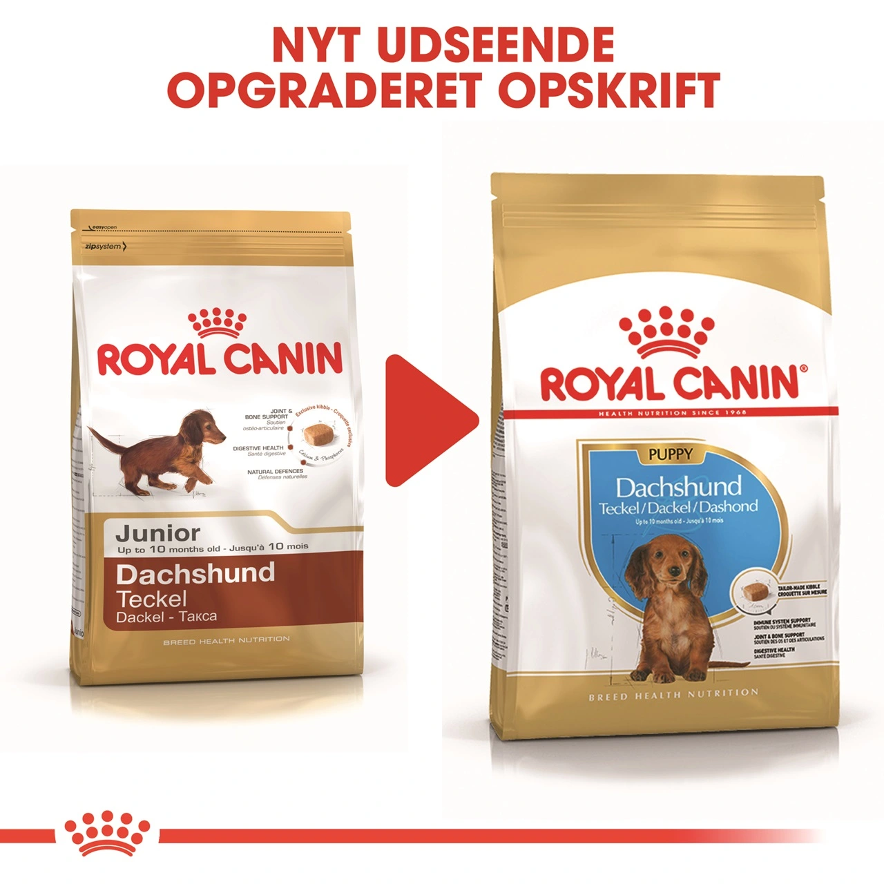 Royal Canin Dachshund Puppy 1,5 kg - tørfoder til Gravhund hvalpe